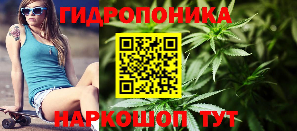 Каннабис индика  Вход с VPN  Лесной  Каннабис Bruce Banner 